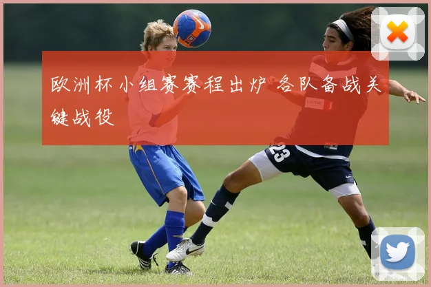 欧洲杯小组赛赛程出炉 各队备战关键战役