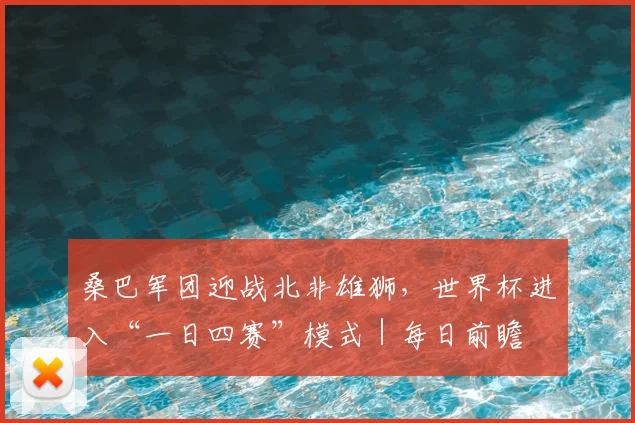 桑巴军团迎战北非雄狮,世界杯进入“一日四赛”模式|每日前瞻
