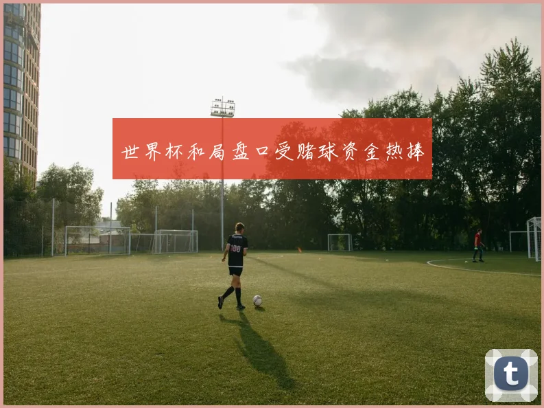 世界杯和局盘口受赌球资金热捧